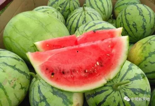 母婴吃瓜,揭秘那些不为人知的幕后故事