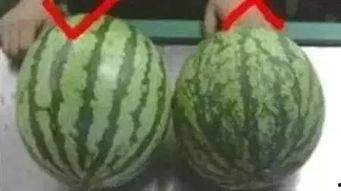 吃瓜岛屿,探寻神秘美食天堂的传奇故事