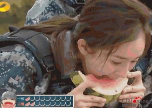 吃瓜群众变粉丝,一场心动的蜕变之旅