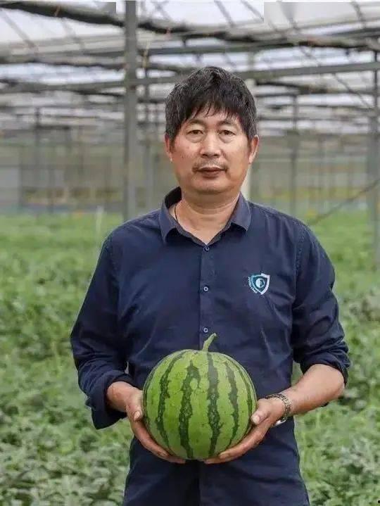 吃瓜群众上线潍坊,吃瓜群众上线，揭秘城市新鲜事