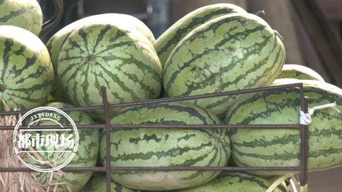 一天吃七个瓜都是啥瓜,探索七种美味瓜果的奇妙之旅