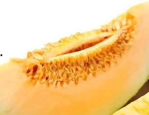 孕妇可以吃楼兰蜜瓜,楼兰蜜瓜，孕妇的甜蜜选择
