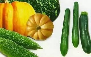 老瓜整个吃,探索传统美食的独特魅力