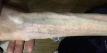 吃瓜恶心事件解剖,揭秘网络暴力背后的心理与伦理困境