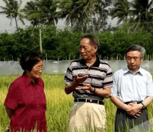 圈内吃瓜王,吃瓜王带你领略幕后风云