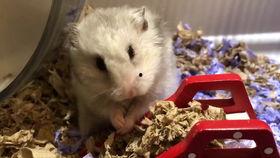 小仙女吃瓜群,揭秘娱乐圈幕后故事