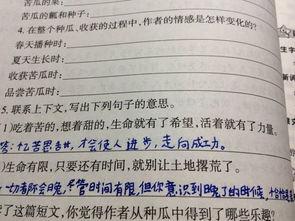 炎夏吃瓜阅读短文,吃瓜阅读短文精选