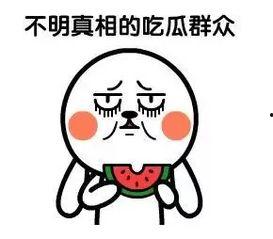 网络热词 吃瓜群众,网络热词背后的社会现象