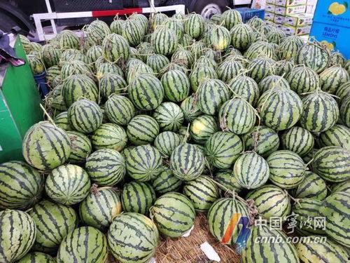 宁波儿童吃瓜视频,萌态可掬萌翻网友